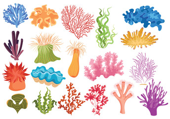 Set of algae. Collection of cartoon algae. Vector illustration for children of underwater plants.