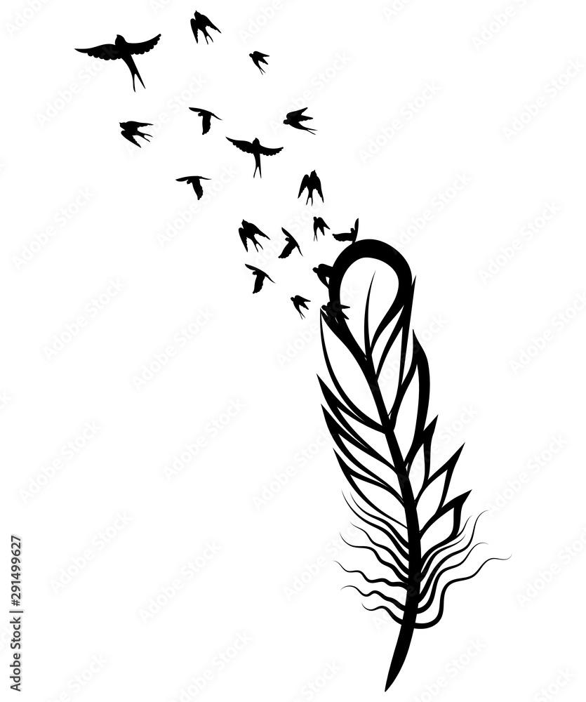 Feather and birds. Black and white vector illustration of stylized ...
