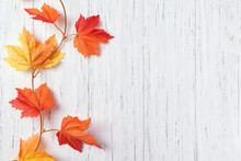 Autumn Leaves Over White Wooden Background, Copy Space, Top View
