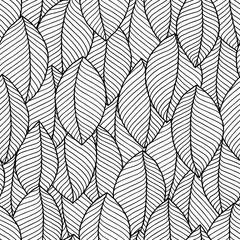 Wall Mural - Leaves coloring book pages. Hand drawn artwork.