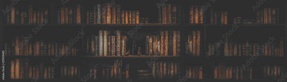 panorama blurred bookshelf Many old books in a book shop or library - obrazy, fototapety, plakaty 