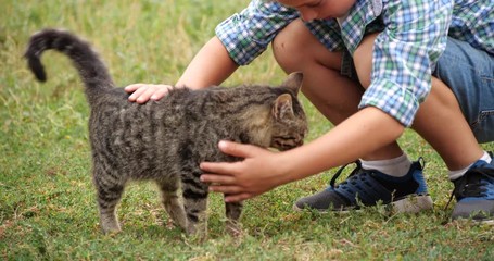 Wall Mural - Cute little boy with adorable cat outdoors