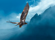 Bald Eagle Juvenile Over Foggy Mountains...Some Native Peoples Believe the Eagle can Take Your Dreams to Heaven