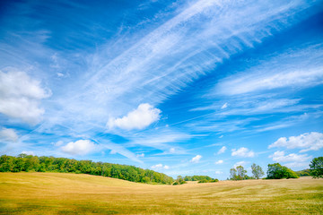 Canvas Print - Colorful landscape in a rural environment