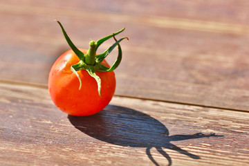 Canvas Print - ripe vegetables tomatoes