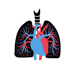 Sticker - circulatory system anatomy