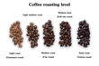 Selection of five different fresh dried roasted coffee beans arranged in a line viewed from above isolated on white background
