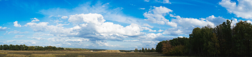 Wall Mural - panorama of the summer landscape in the field