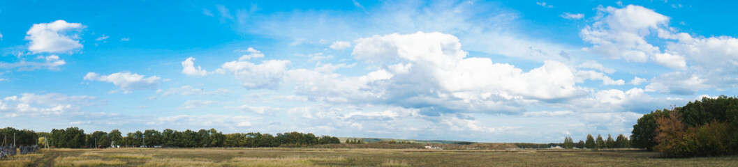 Wall Mural - panorama of the summer landscape in the field