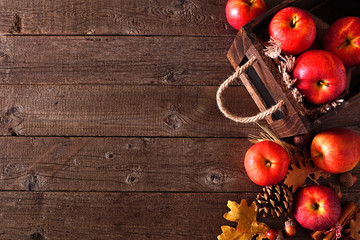 Autumn side border of apples and fall ingredients with crate on a rustic wood background. Copy space.