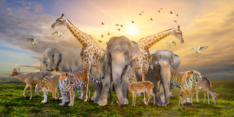 Large group of african safari animals. Wildlife conservation concept