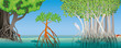Drawing of three different types of mangrove with underwater roots with fish, crabs and a white heron in the scene. Vector image