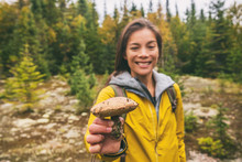 Mushroom Picking Girl Collecting Edible Wild Boletus Mushrooms In Nature Forest Outdoor Fall Autumn Activity.