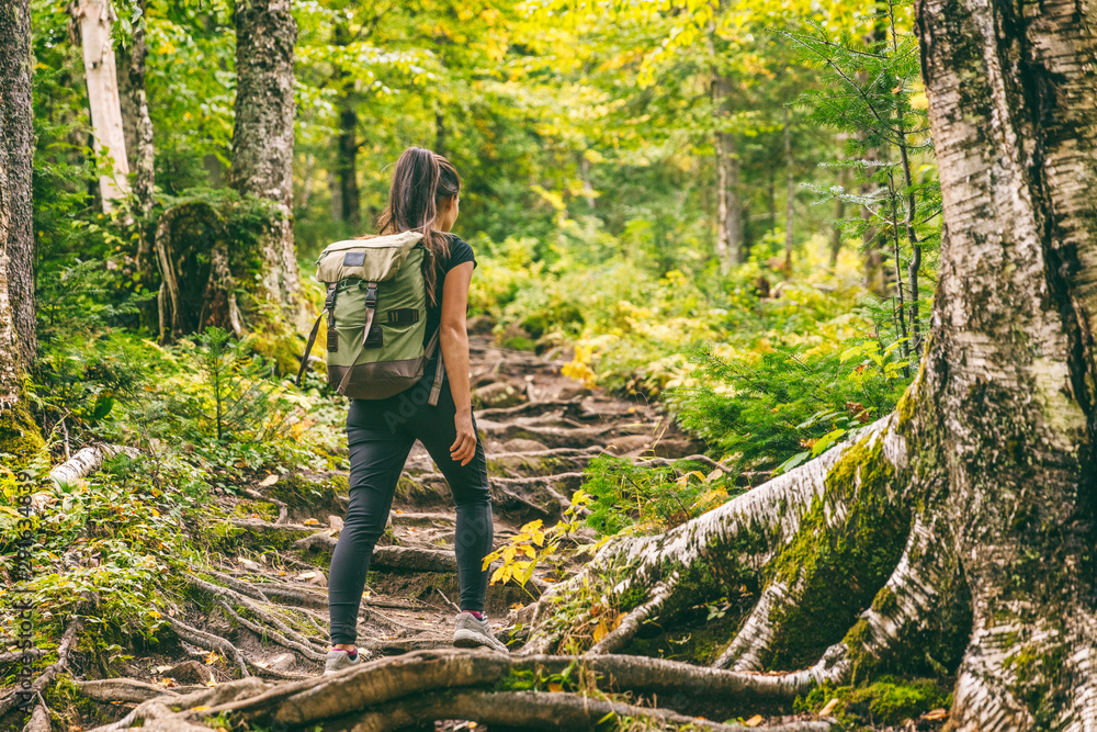 Forest hike trail hiker woman walking in autumn fall nature background in fall season. Hiking active people lifestyle wearing backpack exercising outdoors. - obrazy, fototapety, plakaty 