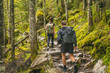 © Maridav - Hike couple hikers hiking forest trail in Autumn nature going camping with backpacks. Friends woman and man walking uphill on mountain in Quebec travel, Canada.