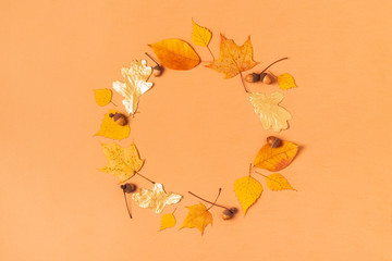 Poster - Autumn leaves on a pastel background