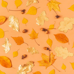 Poster - Autumn leaves on a pastel background