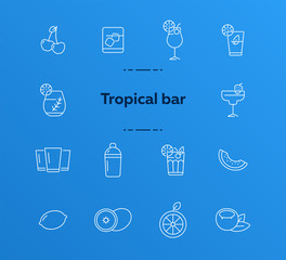 Wall Mural - Tropical bar icons