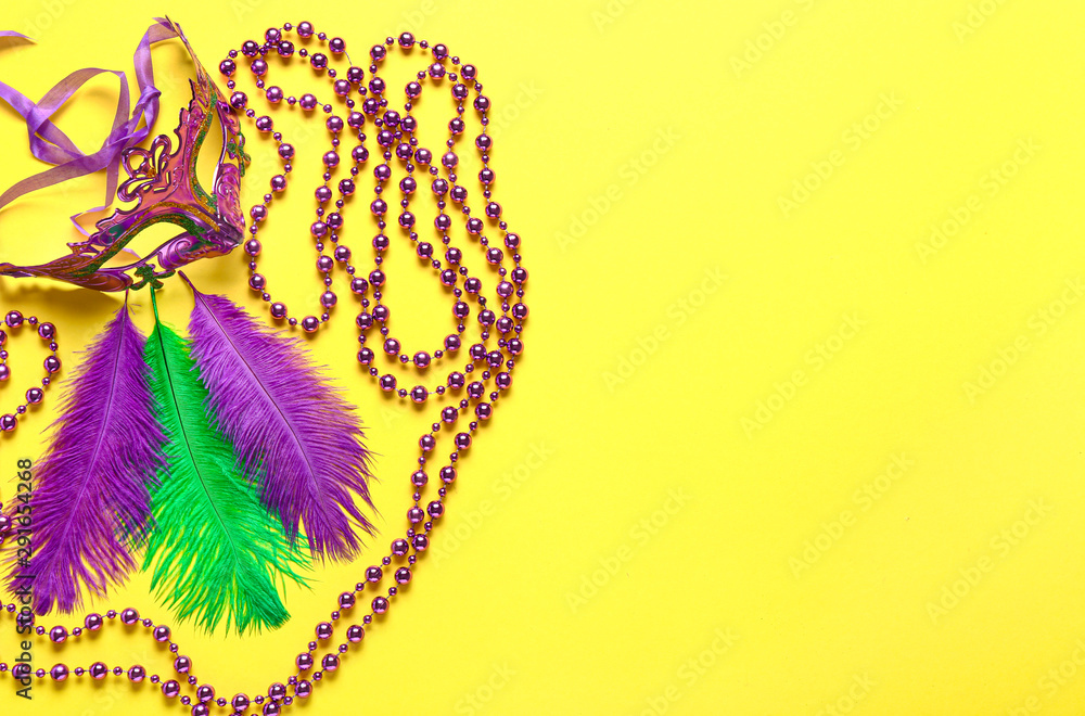 Carnival mask with decor on color background