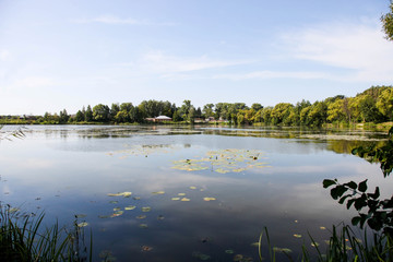 Wall Mural - River in countryside