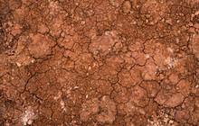 Texture Of Dried Cracked Clay. Macro Background Image Of Dried Clay