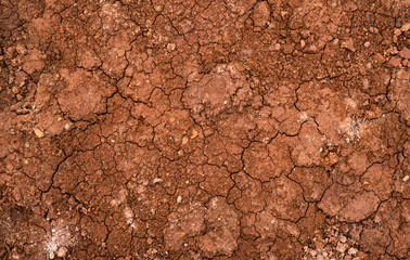 Texture of dried cracked clay. Macro background image of dried clay