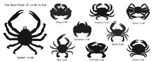 Set Of The Best Kinds Of Crab To Eat.Crab Vector By Hand Drawing.crab Silhouette On White Background.Horsehair Crab Art Highly Detailed In Line Art Style.Animal Pictures For Coloring.