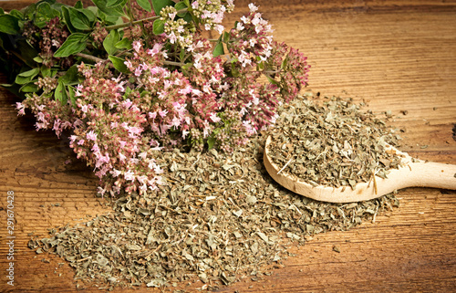 Origanum vulgare (oregano) herb - spice on a table
