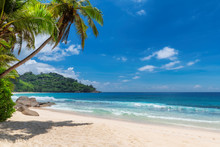 Tropical Sunny Beach And Coconut Palms On Seychelles. Summer Vacation And Tropical Beach Concept.