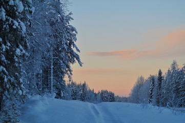 Wall Mural - Snowy landscape in Finland. Finnish Lapland, behind the Arctic Circle. 