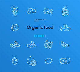 Wall Mural - Organic food icons