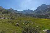 Fototapeta Na ścianę - Yalovarnika peak and Begovitsa River Valley, Pirin Mountain