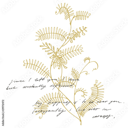 Branch of wild plant Vicia cracca. Tufted Vetch or Vicia cracca, vintage engr...