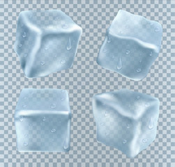 Wall Mural - four transparent ice cubes in blue colors. vector illustration