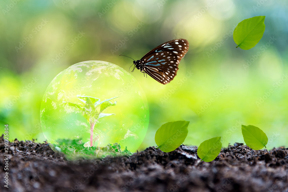 Glowing earth globe on soil with butterfly in the nature. World Environment and Save Economy. Earth image provided by Nasa. - obrazy, fototapety, plakaty 