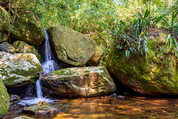 Wall Mural - Small waterfall among the rainforest vegetation of Ilhabela island with mossy stones on the north coast of Sao Paulo state, Brazil