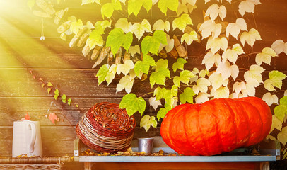 Fotomurales - Herbstzeit im Garten - Autumn in garden