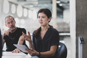 Businesswoman leading a meeting