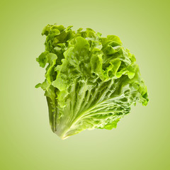 Poster - Fresh salad isolated on light green background