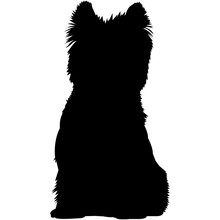 Cairn Terrier  Silhouette Vector