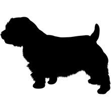Norfolk Terrier Silhouette Vector