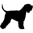 Soft Coated Wheaten Terrier  Silhouette Vector