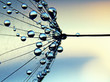 © Greatstock - Close-up of a dandelion seed