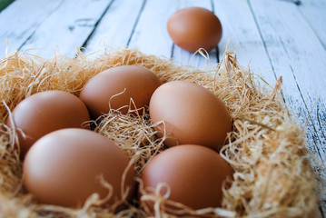 Wall Mural - Nest with brown chicken eggs.