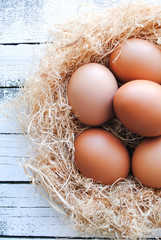 Wall Mural - Nest with brown chicken eggs.