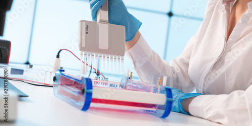 Fotografía Loading Samples and Running an Agarose Gel for electrophoresis, Gel electrophore