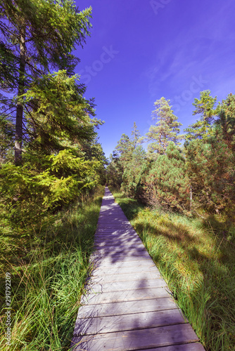 Fotografía Wooden footpath, hiking trail, nature reserve Wildseemoor, Kaltenbronn, Gernsbac