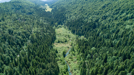 Poster - Vertical aerial view of spruce and fir forest (trees) and meadow, Slovenia.