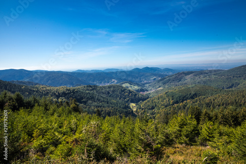 Fotomural View from the high moor Kaltenbronn to the Murg valley, Baden-Wuerttemberg, Germ