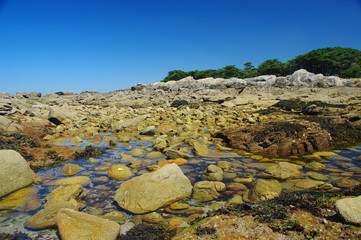 Wall Mural - cote sauvage du croisic